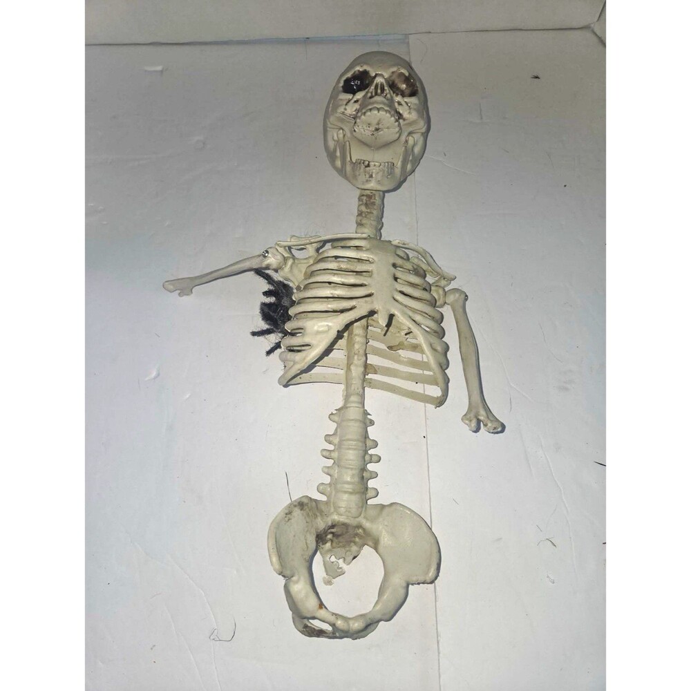 Halloween Hanging Skeleton Prop White Plastic w/ Black Hair & Eye Sockets